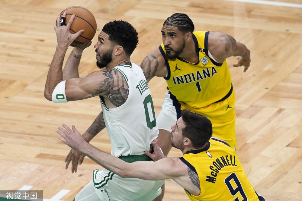 范尼的执教 范尼的执教