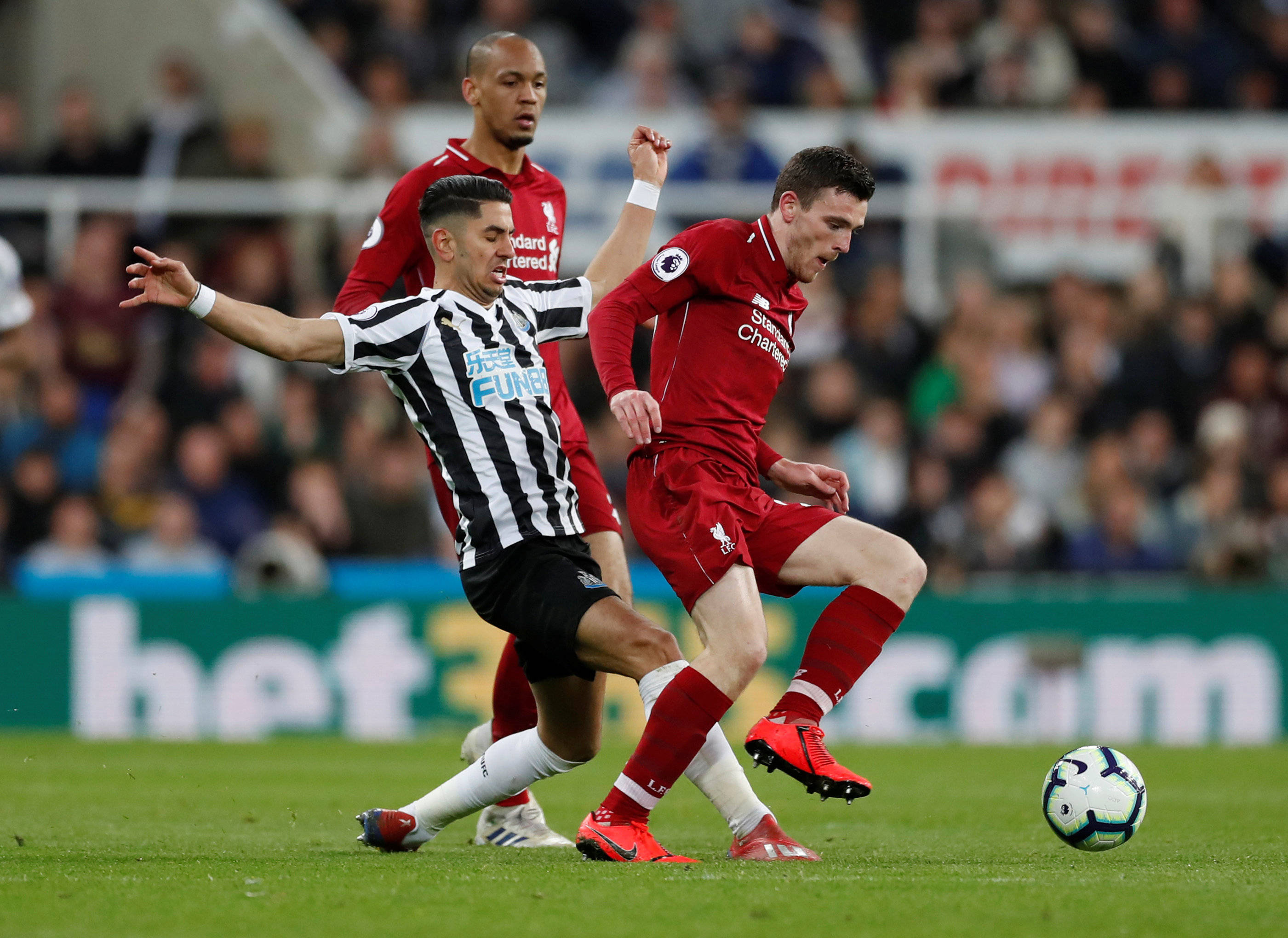 涯地位的根 涯地位的根