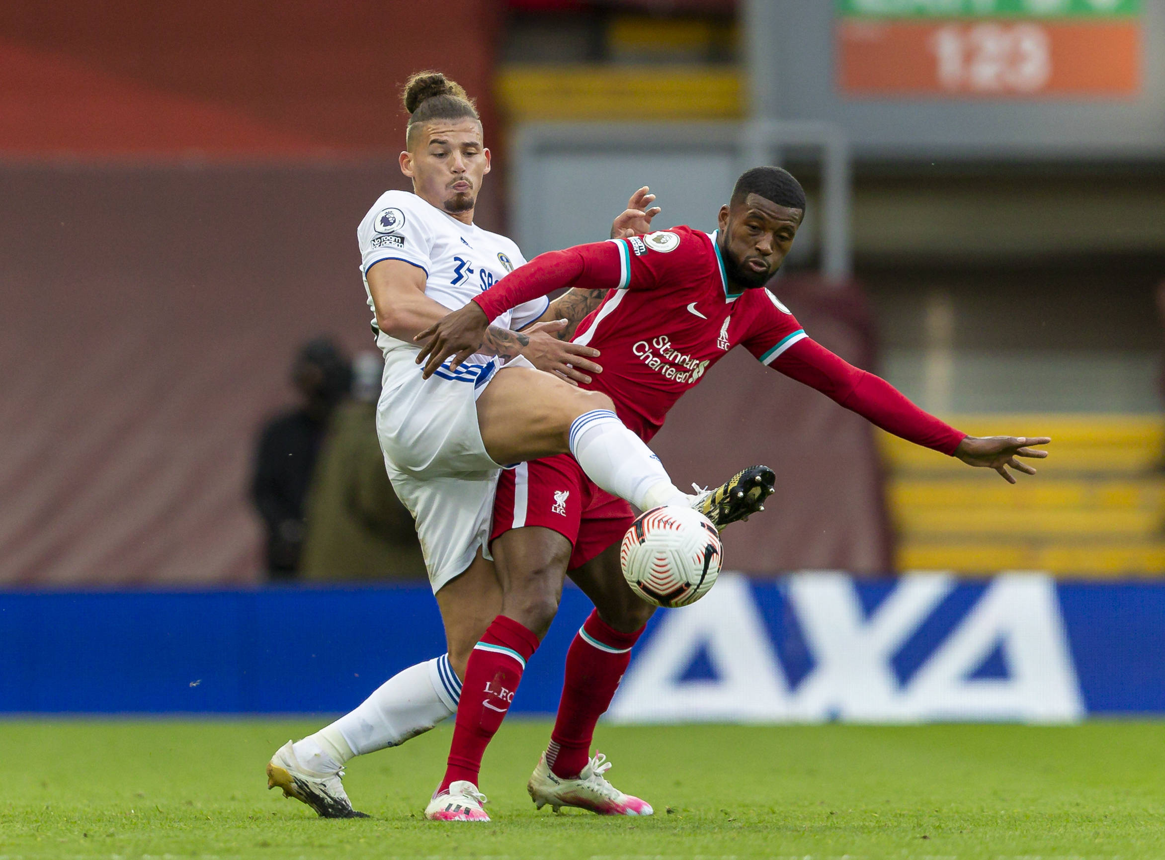 瑞拉边锋马 瑞拉边锋马